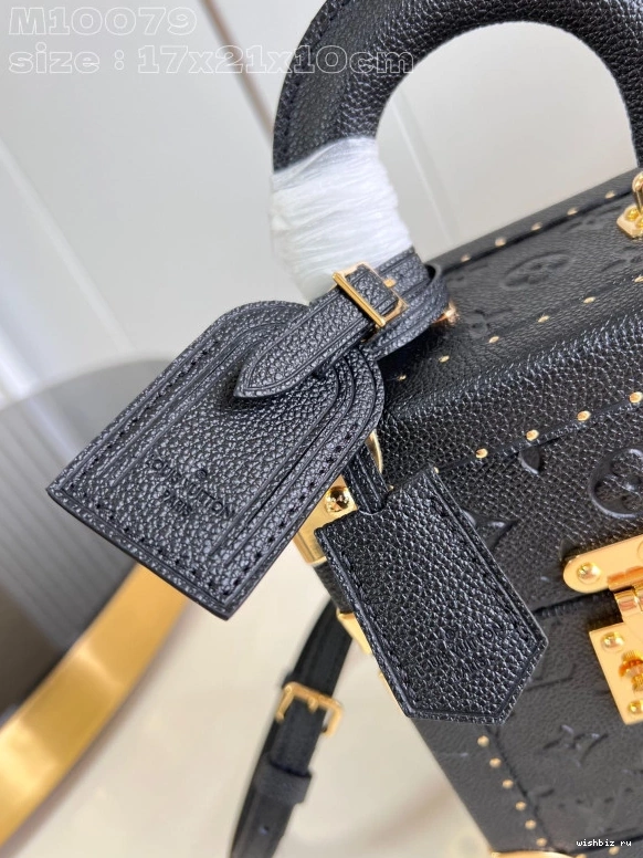 WIS Box Camera VUITTON Monogram Canvas LOUIS 1019